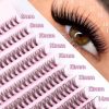 60pc Cluster False Eyelash C Curl 12mm Salon Style Natural Look
